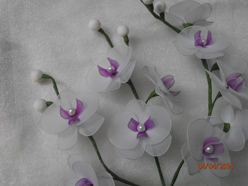 Orchidej zápich na přání — foto 3