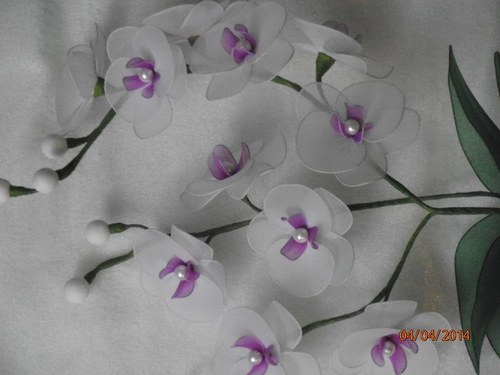 Orchidej zápich na přání — foto 4