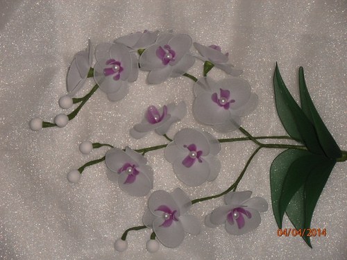 Orchidej zápich na přání — foto 5