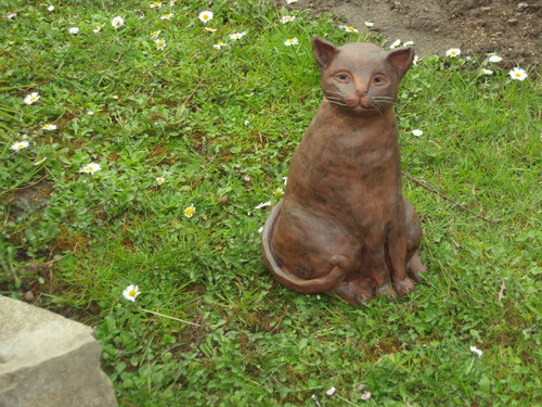 Kočička tmavá velká — foto 2