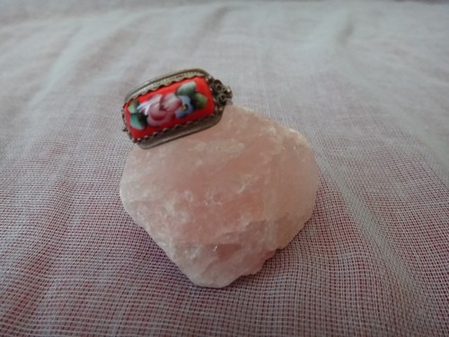 Jarní květy — foto 2