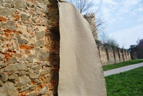 Běhoun konopný — foto 5