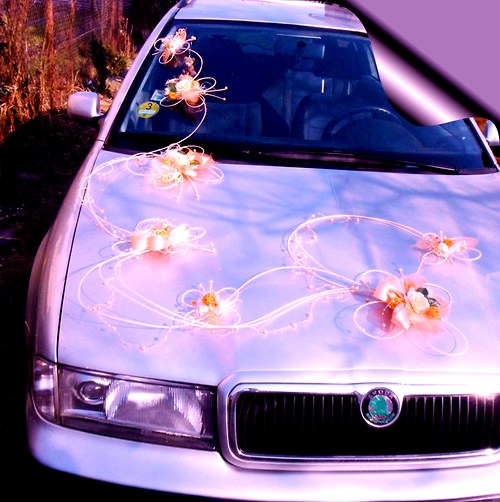 Výzdoba auta- 7 motýlů romantic — foto 4