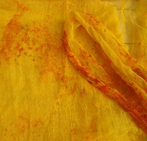Vanilková Třešňová — foto 2