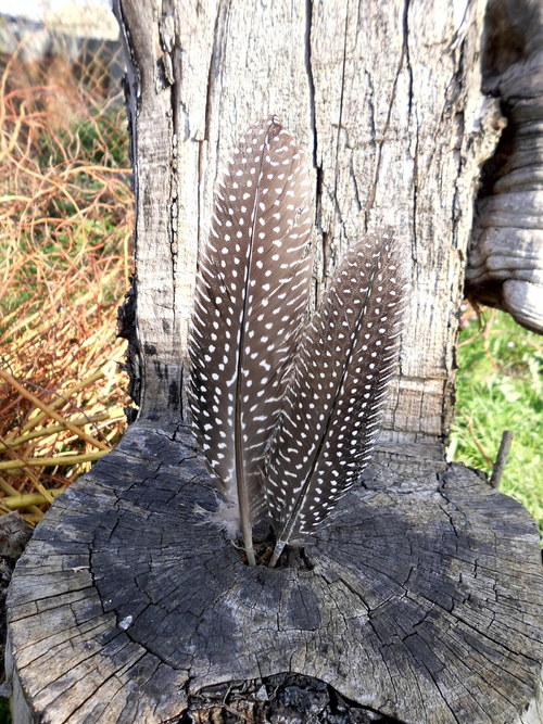 Perlička - natural 2 ks — foto 3