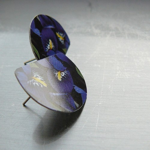 Sezóna - iris — foto 3