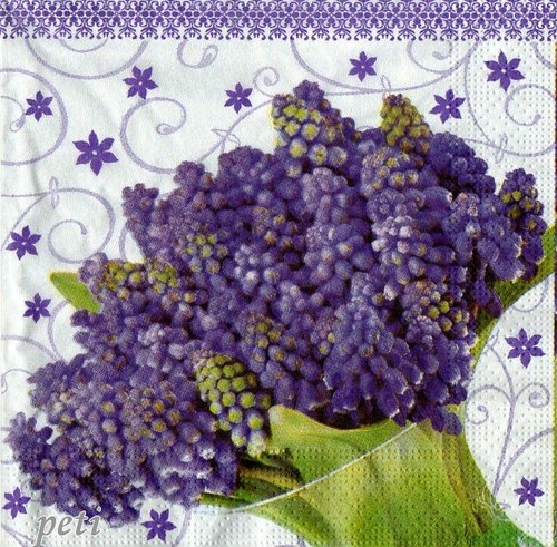Ubrousek modřence — foto 2