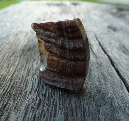 Muflon — foto 3