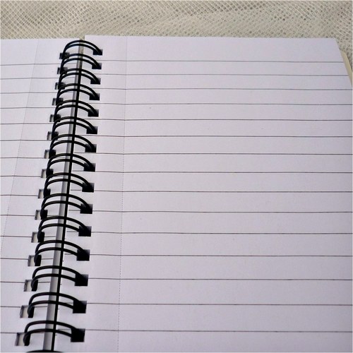 Notes A6: kotě s medvídkem — foto 5