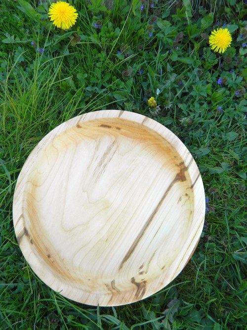 Míso-talíř kaštanový — foto 2