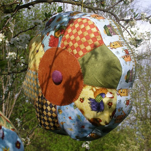 Květ knoflíkovníku — foto 5