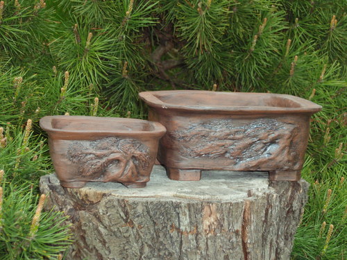 Bonsai miska tmavá — foto 3