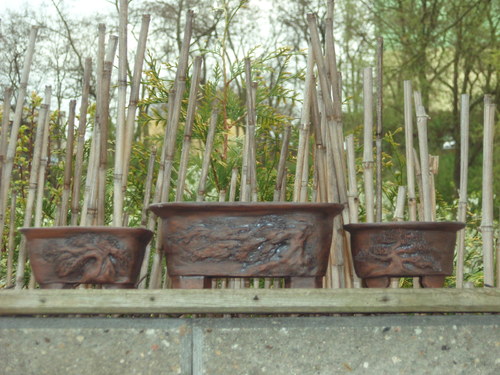 Bonsai miska malá kulatá — foto 3