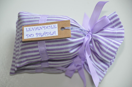 Levandule levandulová (1 pytlíček) — foto 3