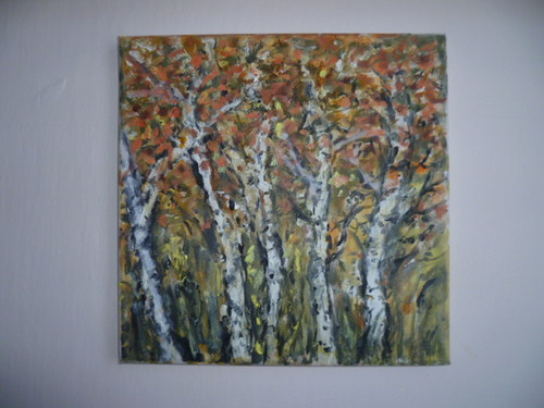 Břízky — foto 3