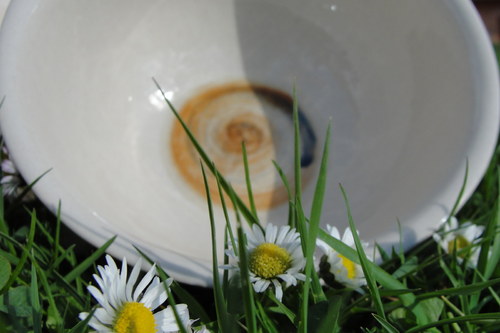 Tohleto — foto 5