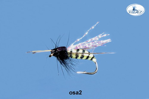 Osa2 — foto 2