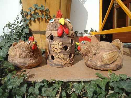 Kohout — foto 4