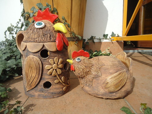 Slepice — foto 2
