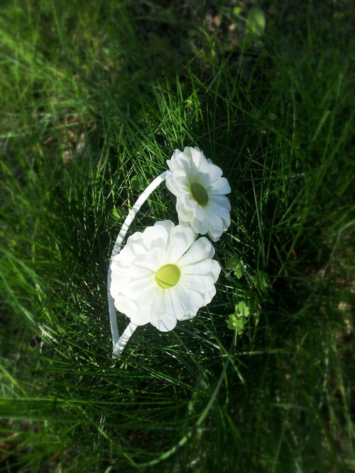 Kopretiny...čelenka — foto 2