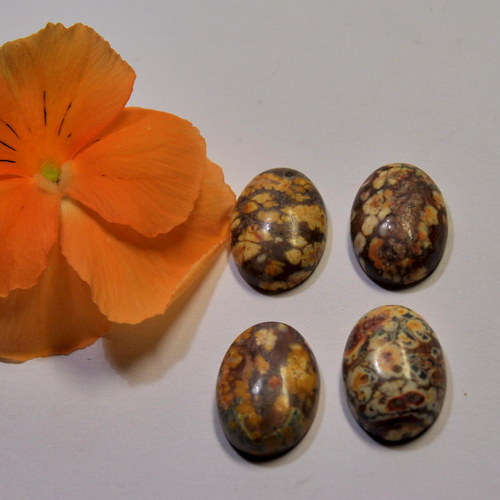 27/2 Kabošon leopardí jaspis 18x13 mm — foto 2
