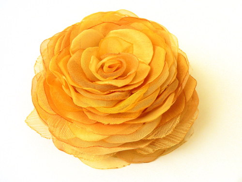 Where the wild roses grow — foto 2