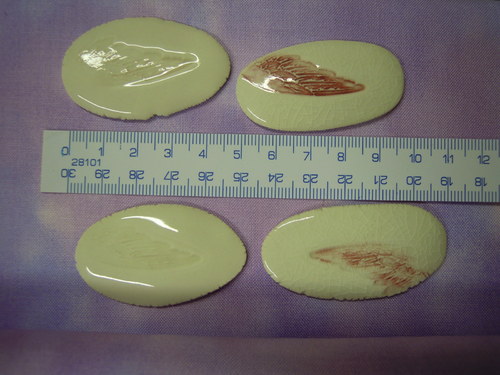 Křídla červená — foto 3