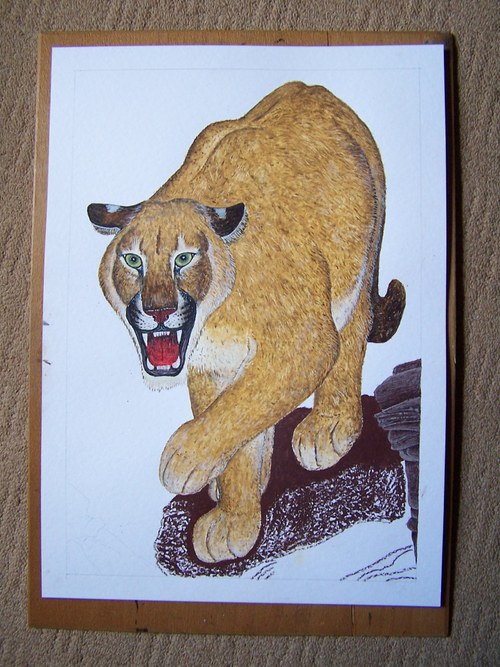 Puma — foto 4