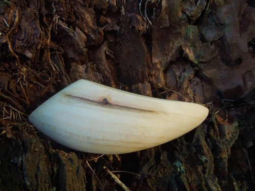 Dračí křídlo - spona — foto 2