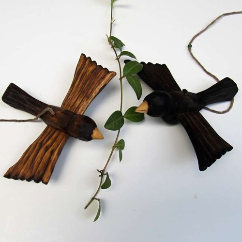 Ptáček jarabáček — foto 3
