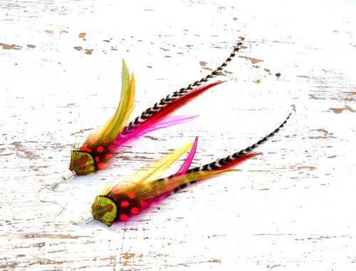 Rainbow snake — foto 2
