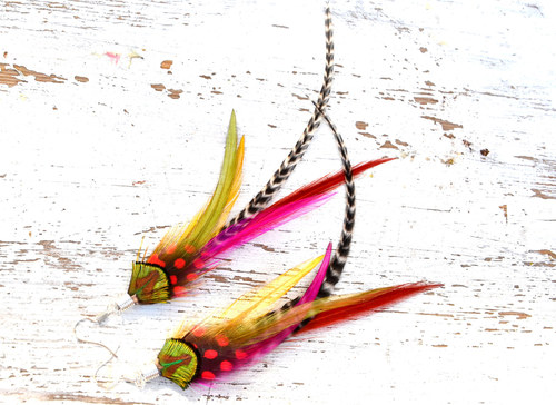 Rainbow snake — foto 3