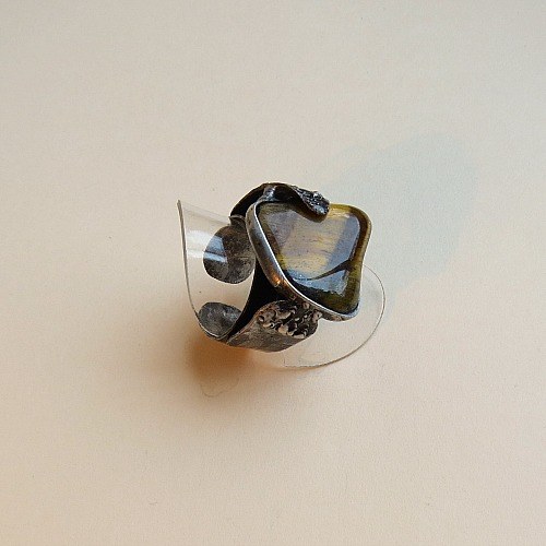 Tygří drápek — foto 3