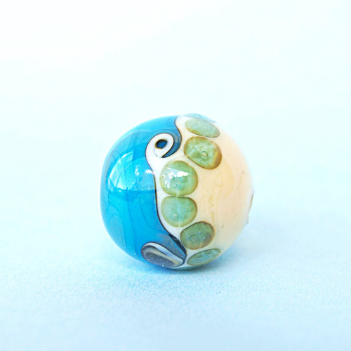 Vinutka Mořská — foto 2