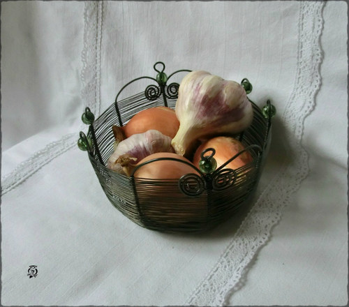 Olivová — foto 2