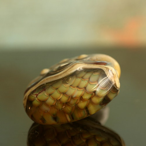 Rodney — foto 6
