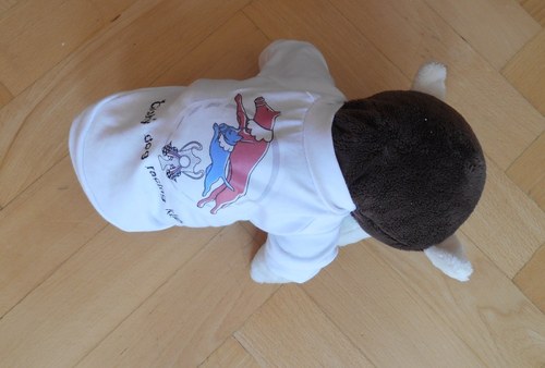 Zorinky tričko — foto 2