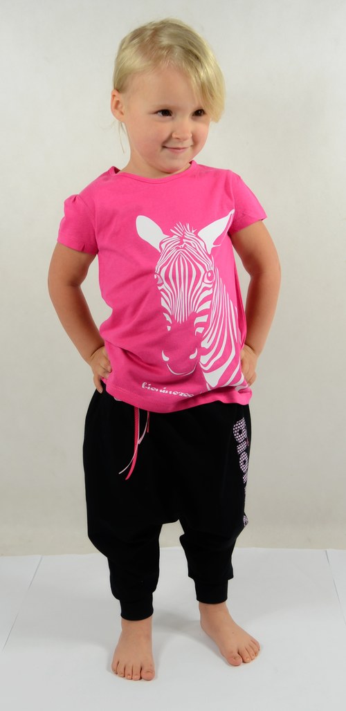 Tričko a zebra — foto 3