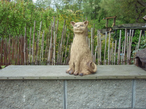 Kočička světle hnědá — foto 2