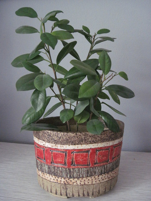 Oválný truhlík — foto 3