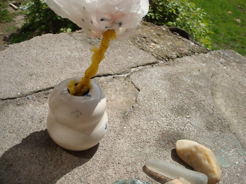 Mini hruška — foto 6