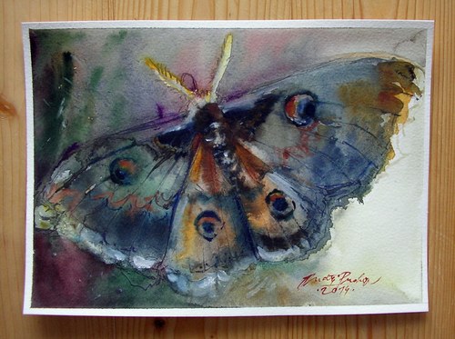 Martináč,originální akvarel — foto 2