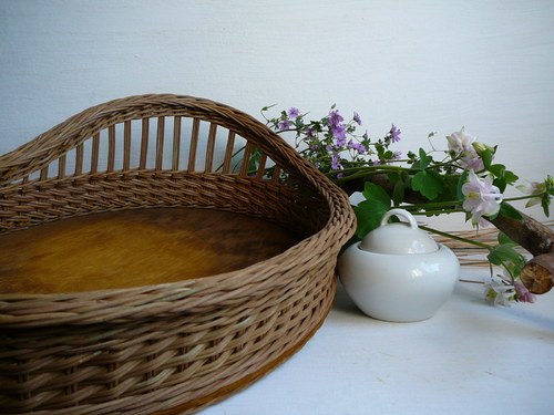 Tác jednoroh - hnědo-olivový — foto 5