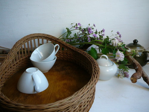 Tác jednoroh - hnědo-olivový — foto 2
