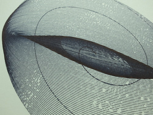 Gravitační kaligrafie IX — foto 4