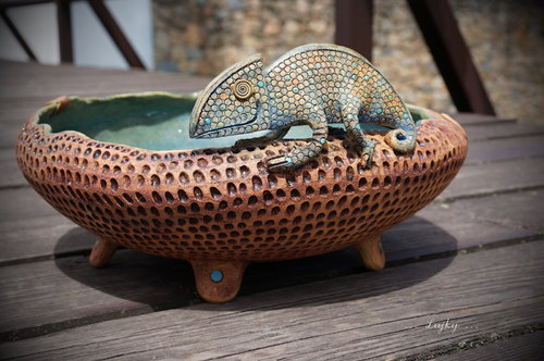 Chameleon v modrém... — foto 3
