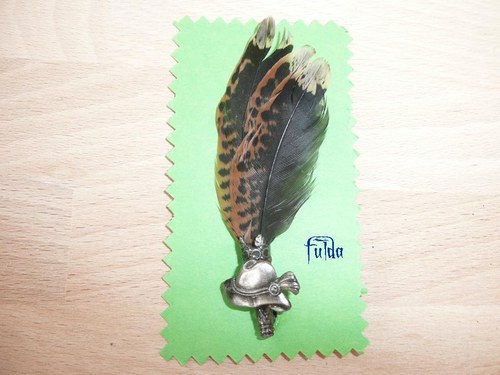 Touleček Sluka Obecná — foto 4