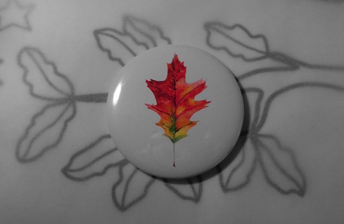 Quercus rubra. Magnet 56mm. — foto 4