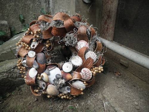 Kudrnáč od moře — foto 3