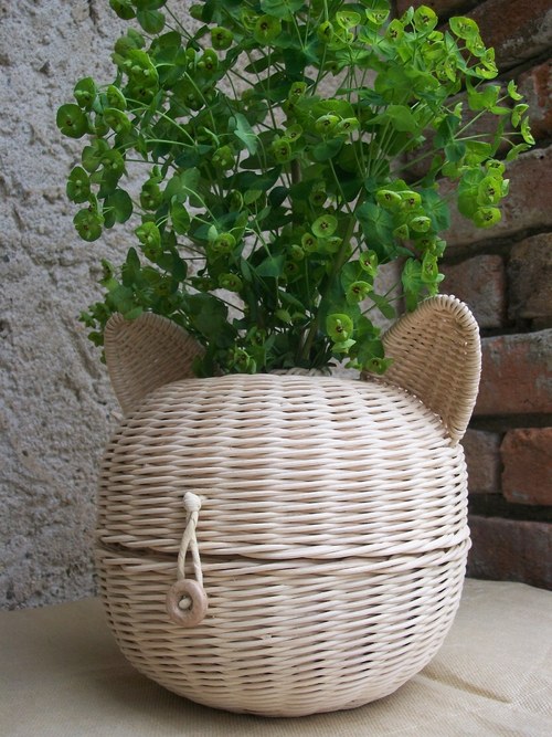 Aby se klubíčko nezakutálelo..... — foto 3